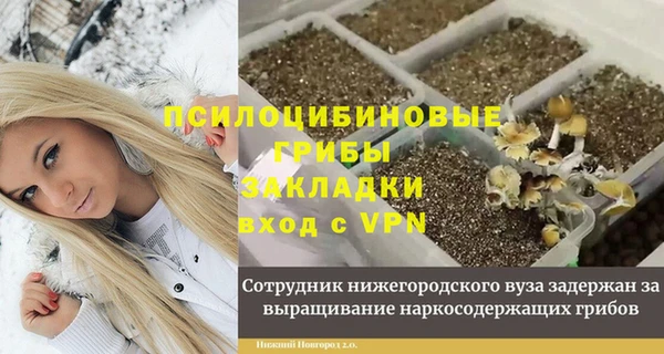 стафф Алзамай