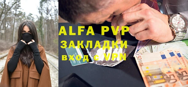 стафф Алзамай