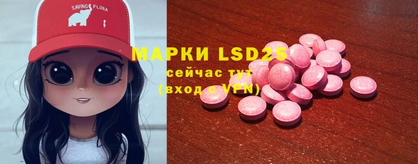 стафф Алзамай