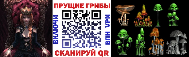 Галлюциногенные грибы мицелий  где можно купить наркотик  Томск 