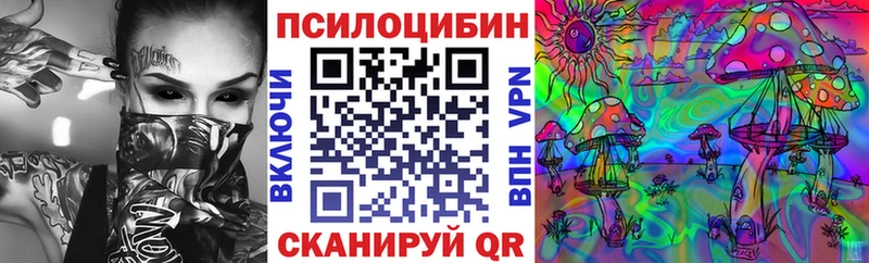Галлюциногенные грибы мицелий Томск