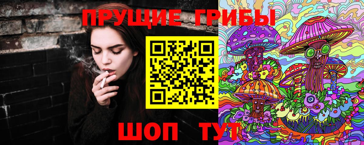 дарнет шоп  Галлюциногенные грибы GOLDEN TEACHER  Вход с VPN  Томск 